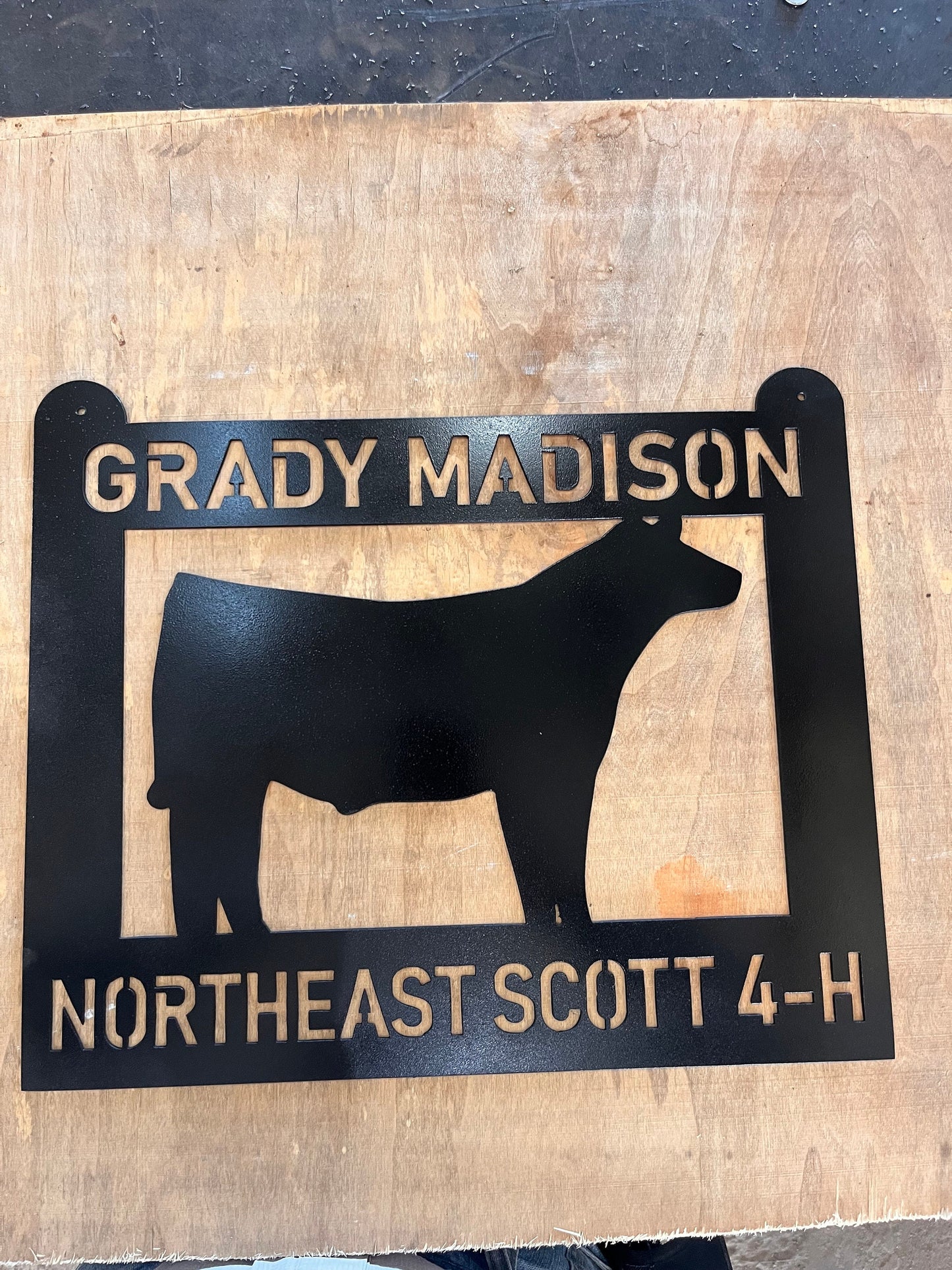 Personalized Steer Sign. Livestock Show Stalls, Fair Pens, Stock Trailers, Awards for Shows, Fairs