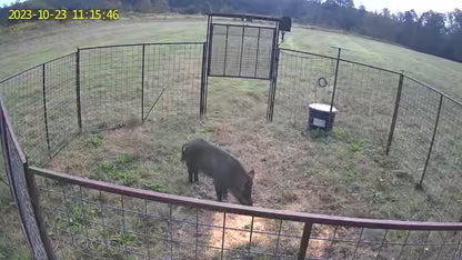 Cell-Activated Hog Trap Gate